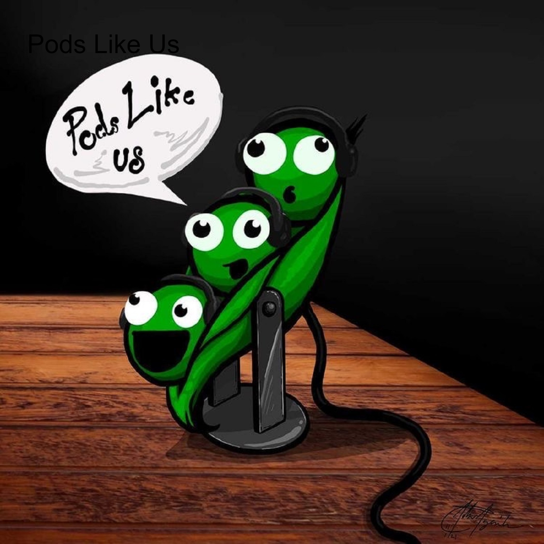 Pods Like Us: Exploring European Podcasting with Andreea Coscai of Eurowaves on Pods Like Us